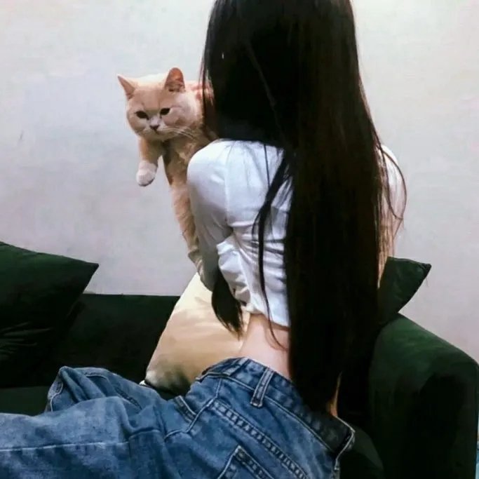 艾拉‧辛德斯
