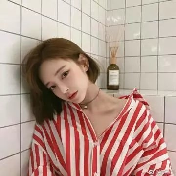 龙月